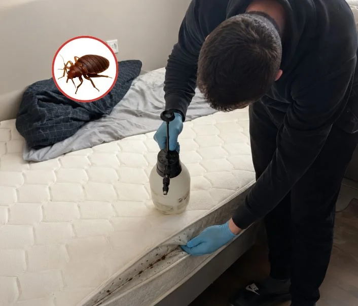 Technicien traitant un matelas contre les punaises de lit à Garges-lès-Gonesse